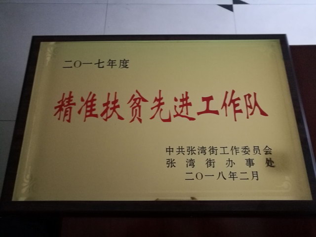 2017年度精准扶贫先进工作队荣誉称号